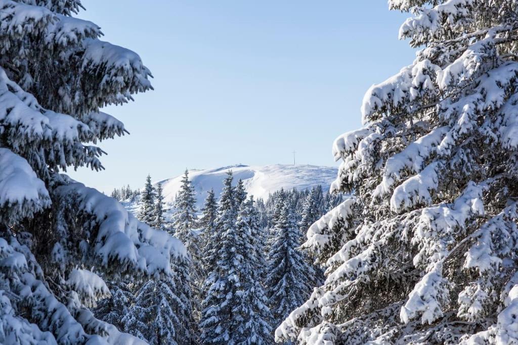 Waldblick Titisee Exteriér fotografie