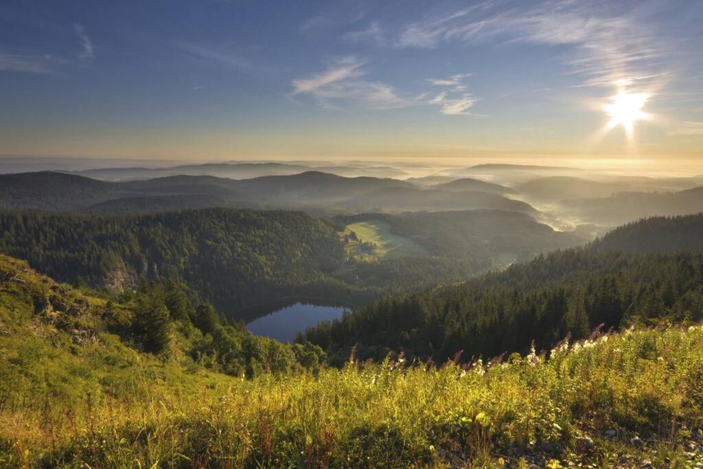 Waldblick Titisee Exteriér fotografie